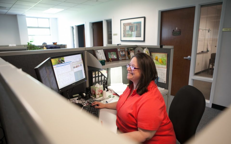 A woman sitting in her office cubicle uses her computer monitor