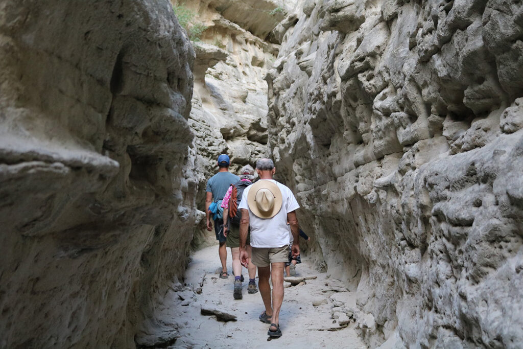 Parents and a young child hike through a dense forest with tall trees in Great Falls, MT