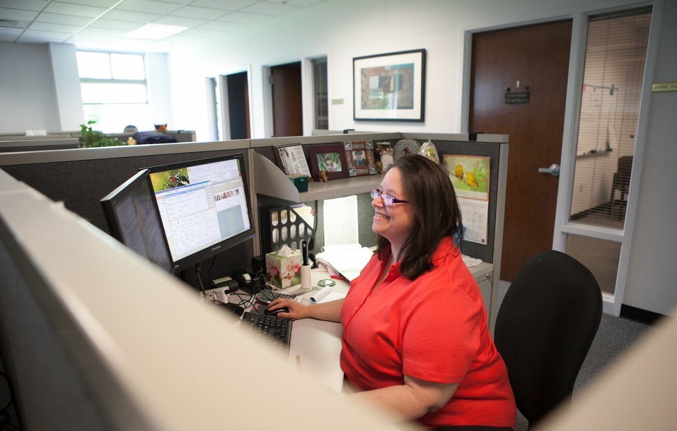 A person on a snowboard in the air jumping while grabbing the snowboard